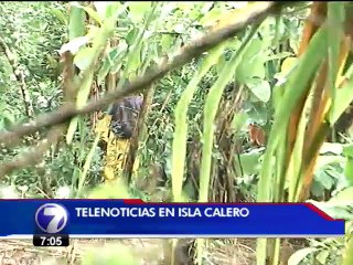 Ordenan detener a cualquier nicaragüense que cause daños en isla Calero