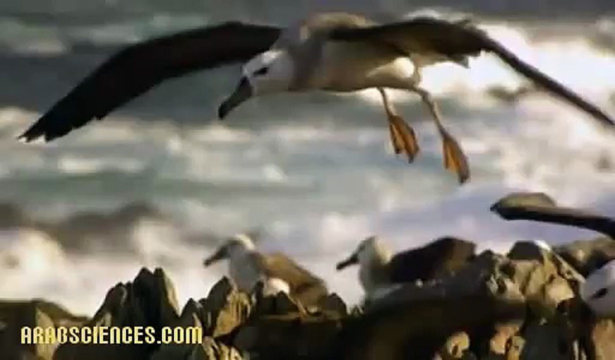 هجرات عظمى : حلقة 2