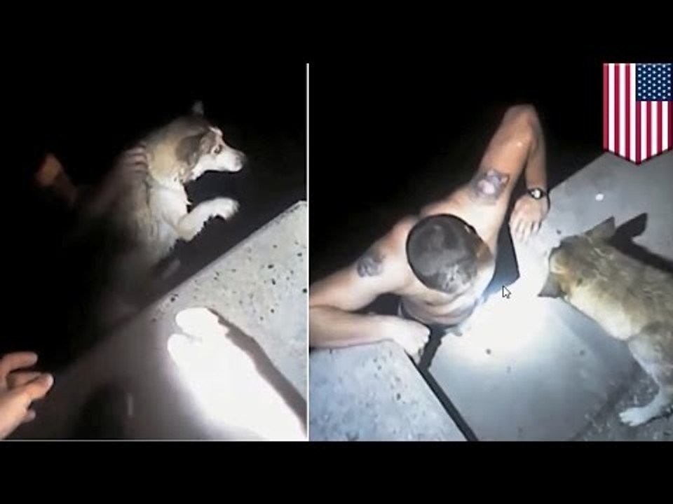 VIDEO: Un chien en train de se noyer est sauvé par un vrai policier héros