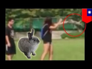 Une étudiante a été filmée jeter son lapin, elle a été retrouvée et pénalisée pour ses actions.