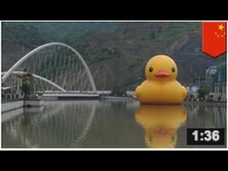 AVIS DE RECHERCHE: Le canard géant en caoutchouc de Florentijn Hofman a disparu