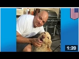 Un chien qui avait disparu pendant deux ans a été retrouvé sain et sauf