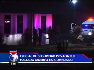 Asesinan a dos oficiales de seguridad en solo cuatro horas