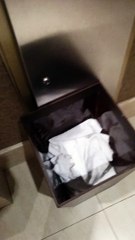 RESTROOM REVIEW: EMIRATES BUSINESS LOUNGE, DUBAI