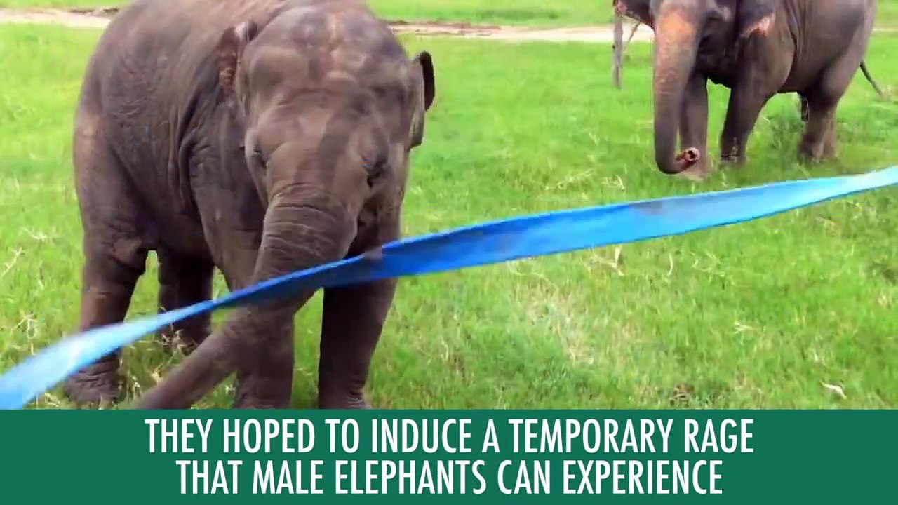 The Ten Creepiest Science Experiments