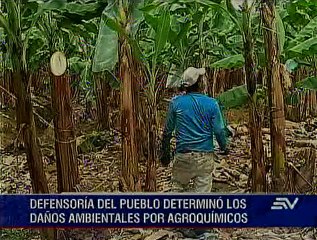 Autoridades regulan el uso correcto de pesticidas en el país
