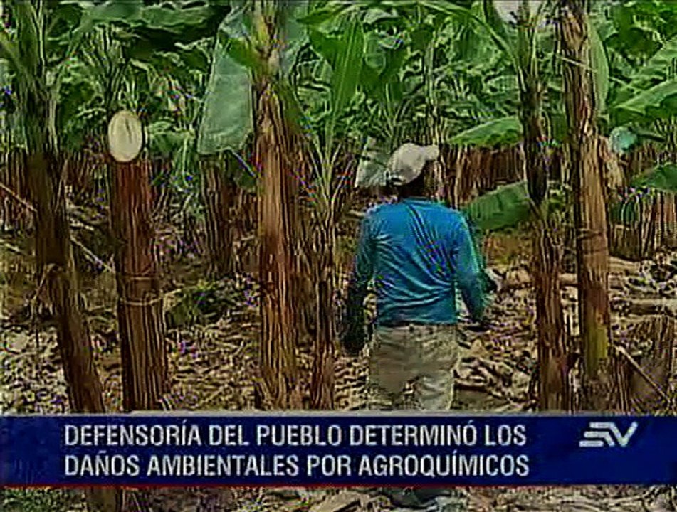Autoridades regulan el uso correcto de pesticid...