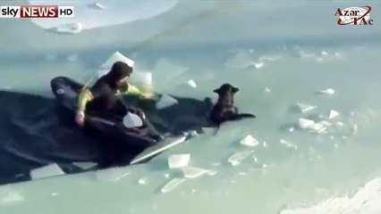 How brave man catch dying dog .