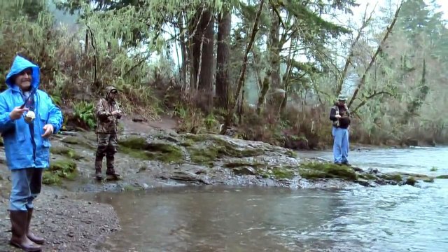 Steelhead fishing at North Fork Alsea, Oregon