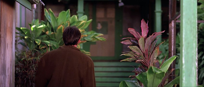 Немезида (фантастика, боевик, триллер)