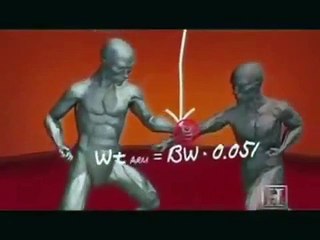 HUMAN WEAPON KARATE TECHNIQUES.wmv
