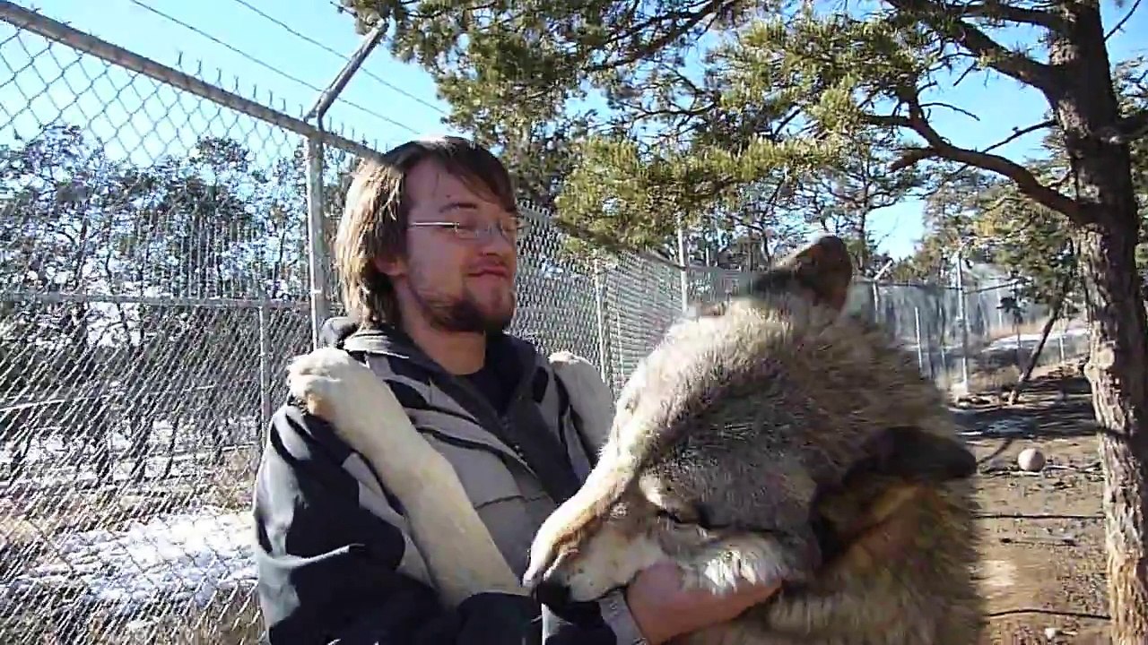 Happy Wolf Attack!