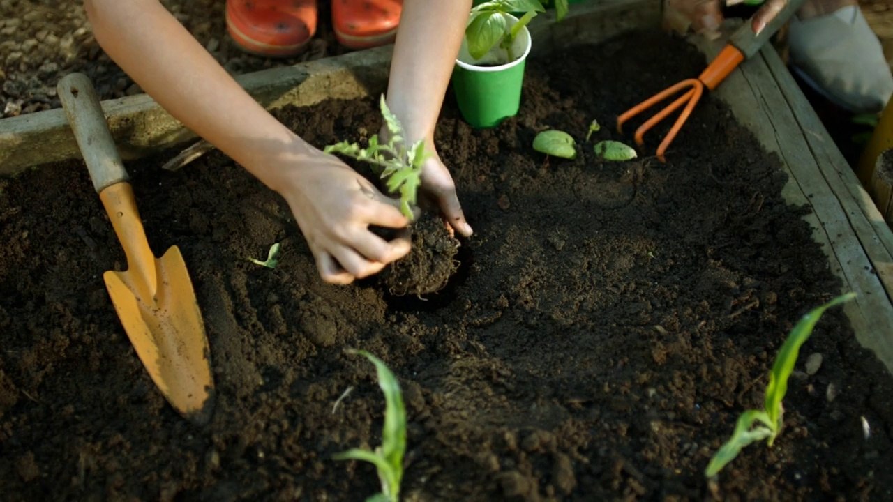 Transformez de nouveaux gestes en bonnes habitudes - Jardiland