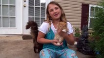 Cat Mom Hugs Baby Kitten - She Did Not Want To Let Go - Cute Video
