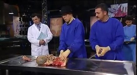 Anatomy for Beginners - Lesson 3 Digestion [3/5]