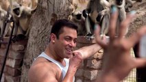 Salman Khan Feeds Monkeys 2015