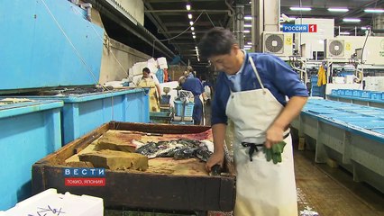 Fugu-fish: risky Japanese delicacy. English version