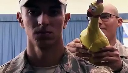 Test de concentration avec un poussin. Ils sont fous ces Américains !