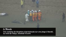 Une centaine de dauphins s'échouent sur une plage japonaise