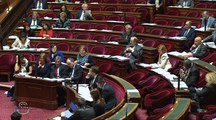 Débat en séance Projet de loi Macron Sénat, 8 avril 2015 - transports 4