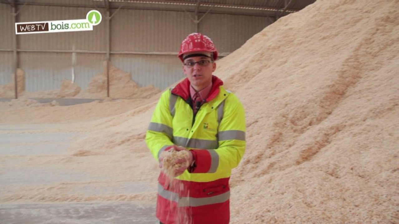 28-Bois et recyclage-Veolia Propreté