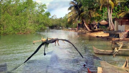 AVE GIGANTE KONGAMATO. Una posible especie extinta de Pterosaurio