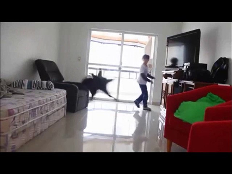 Dünyanın konuştuğu kaleci kedi :)