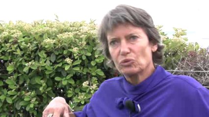 Cannes 2009 : temps forts du CNC