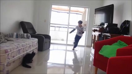 The World Is Talking About This Cat Keeper Cat