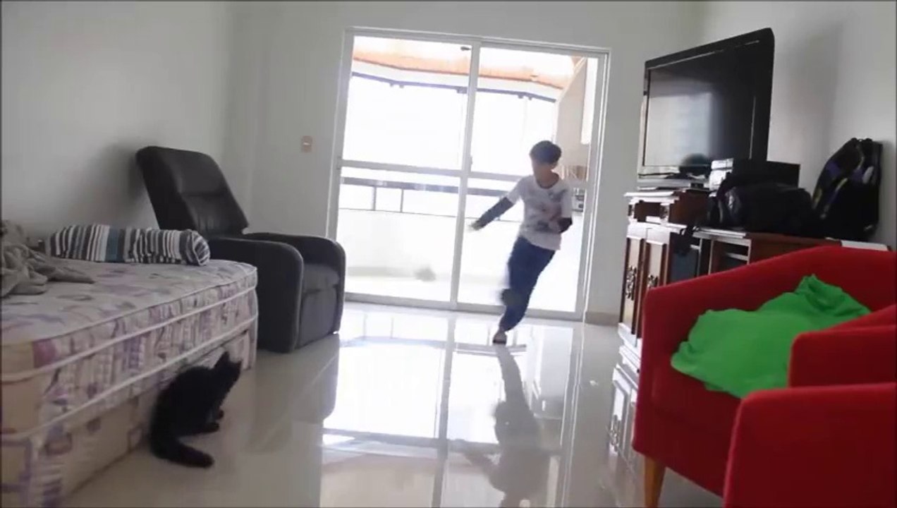 The World Is Talking About This Cat Keeper Cat