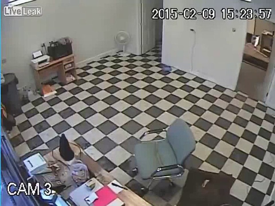 LiveLeak - Dog Protects Owner From Robber