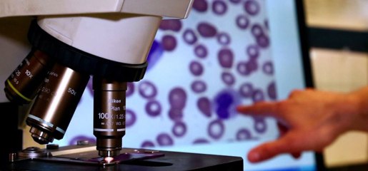 le réseau de télé-hématologie ANDRAL