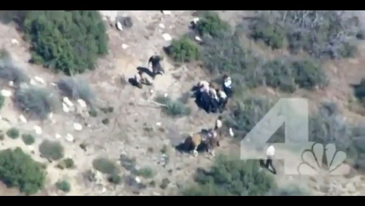 So violent footage of Sheriff Deputies Brutally Beat Man Who Stole a Horse