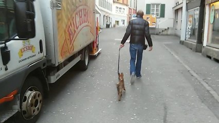 Be Aware HERA @ FUZO Altendorf