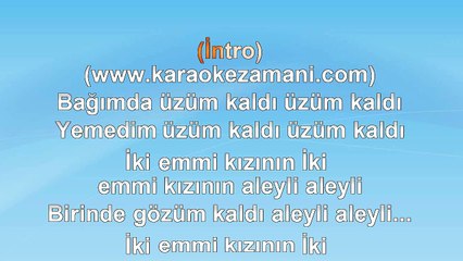Cem Karaca - Bağımda Üzüm Kaldı - 1974 TÜRKÇE KARAOKE