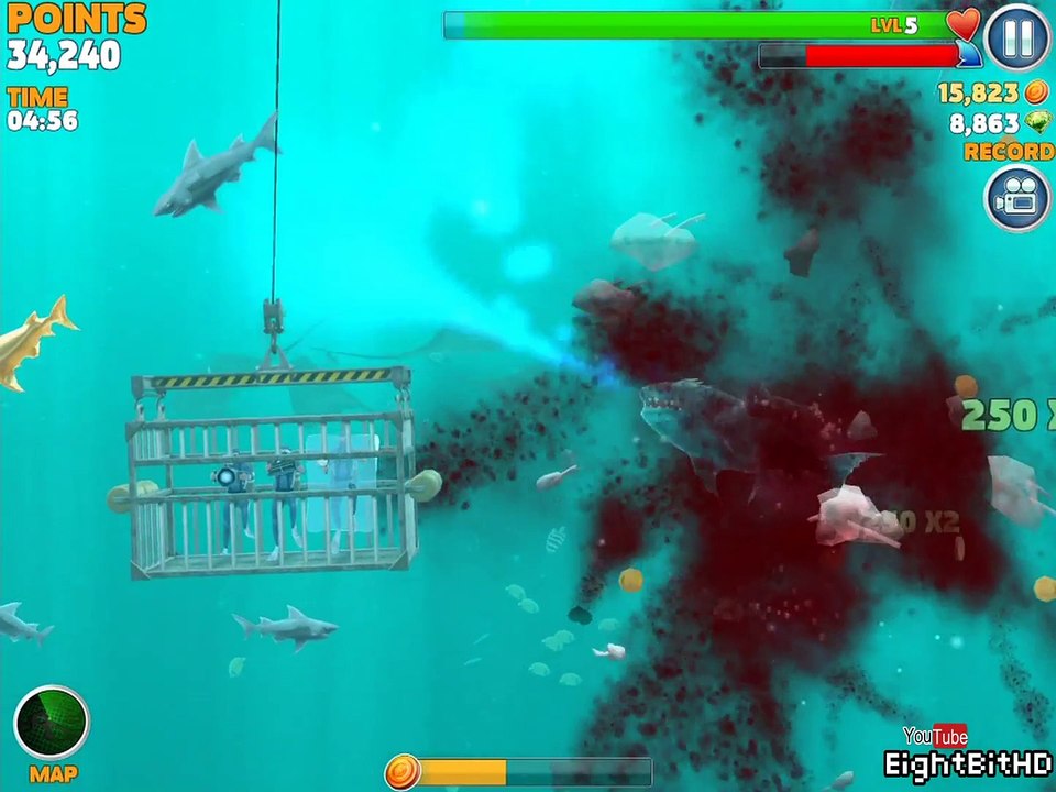 freese shark