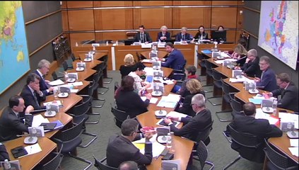 07.04.2015: Commission du développement durable : M. Laurent Neyret, professeur de droit, sur le préjudice écologique