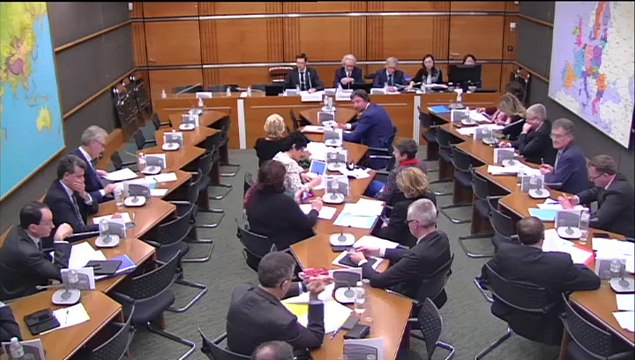 07.04.2015: Commission du développement durable : M. Laurent Neyret, professeur de droit, sur le préjudice écologique