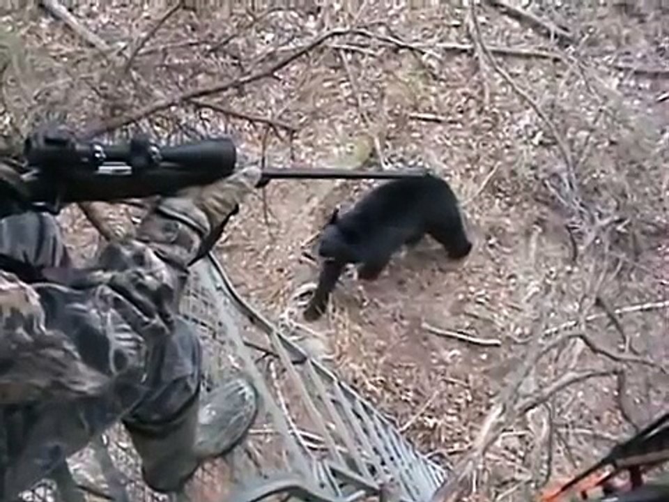 Scared to death by a Huge Black Bear while at Hunting....Bear Attack