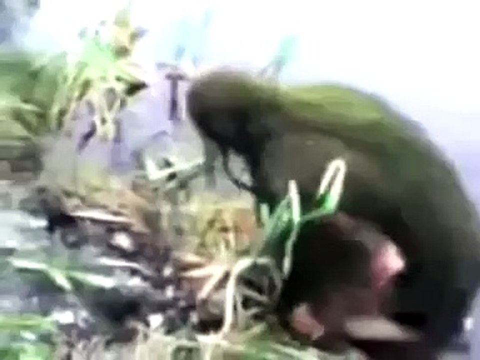 Russian crazy people fail accidents , funny video fails compilation We Love Russia 3 compilation