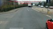 Voici Pourquoi il ne faut JAMAIS Doubler un Camion en Tractant une Caravane