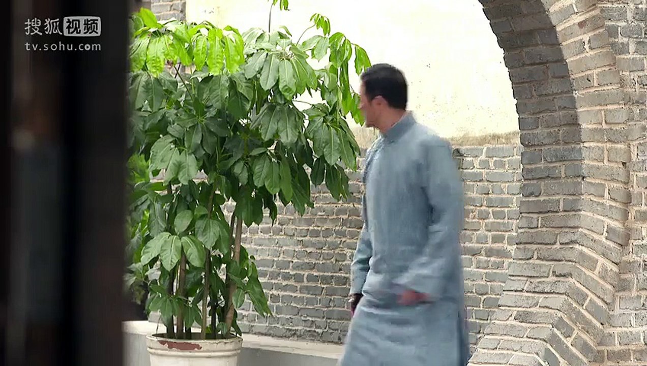 王大花的革命生涯12