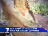 ¿Qué ocurre con los cocodrilos en Costa Rica?