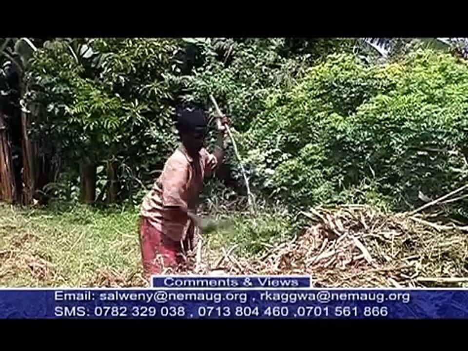 Mixed farming in Uganda