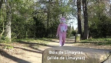 Chasse aux oeufs samedi 11 avril 2015