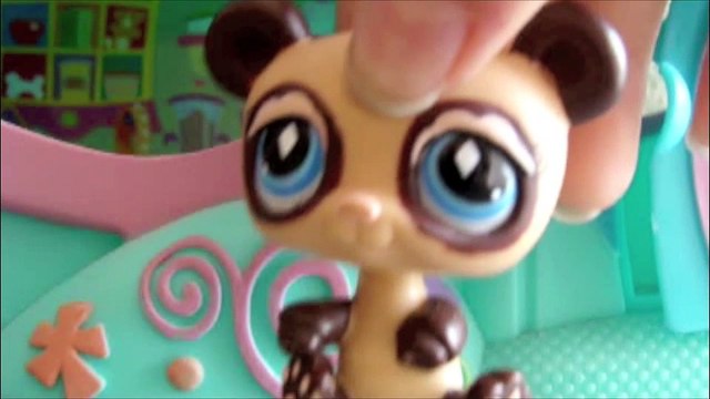 Pause et informations...