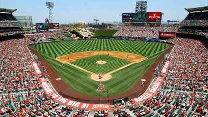Massive Swarm of Bees Invade Royals-Angels Spring Training Game