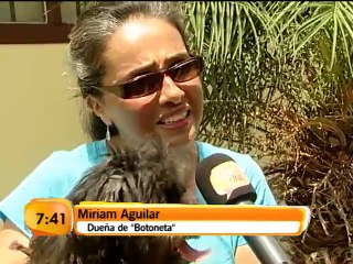 Una silla de ruedas le cambió la vida a una perrita con malformación congénita