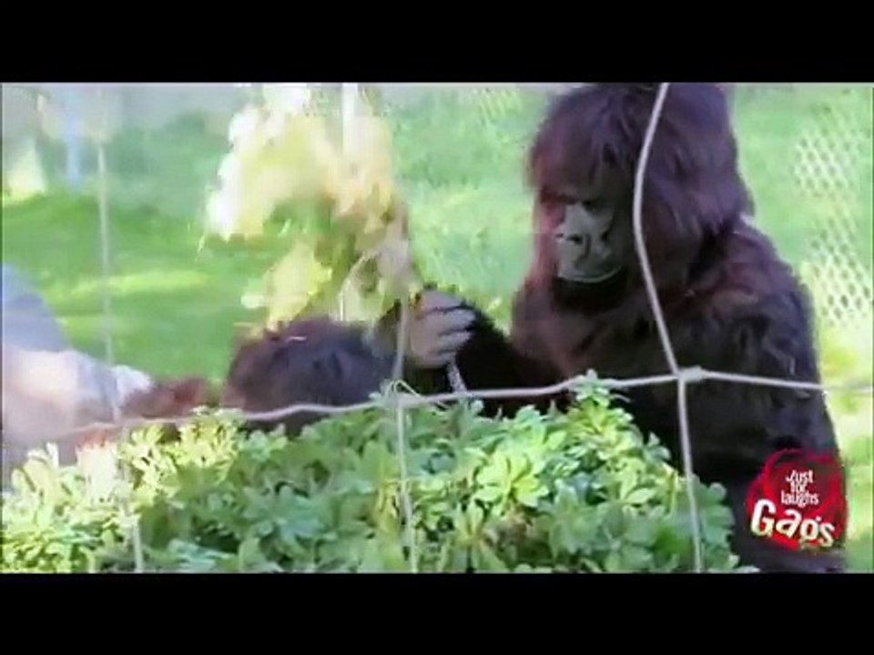 Just-For-Laugh--Pranks