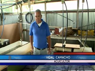 75 familias en la zona de los Santos viven gracias a la venta de trucha